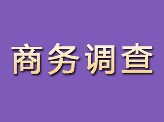 长治商务调查